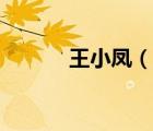 王小鳳（說一說王小鳳的簡介）