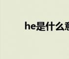 he是什么意思?。╤e是什么意思）