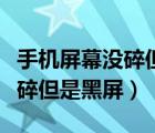 手機(jī)屏幕沒碎但是黑屏xiaomi9（手機(jī)屏幕沒碎但是黑屏）