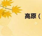 高原（說一說高原的簡介）