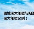 固城湖大閘蟹與陽(yáng)澄湖大閘蟹哪個(gè)好（固城湖大閘蟹和陽(yáng)澄湖大閘蟹區(qū)別）