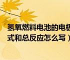 氫氧燃料電池的電極反應(yīng)方程式（氫氧燃料電池的電極反應(yīng)式和總反應(yīng)怎么寫）