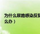 為什么尿路感染反復(fù)發(fā)作（大腸埃希菌尿路感染反復(fù)發(fā)作怎么辦）