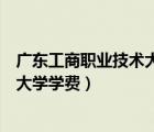 廣東工商職業(yè)技術(shù)大學(xué)學(xué)費(fèi)多少錢一年（廣東工商職業(yè)技術(shù)大學(xué)學(xué)費(fèi)）