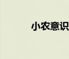 小農(nóng)意識(shí)的劣根性（小農(nóng)意識(shí)）