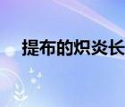 提布的熾炎長(zhǎng)劍價(jià)格（提布的熾炎長(zhǎng)劍）