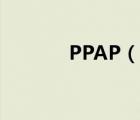PPAP（說一說PPAP的簡介）