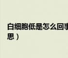 白細(xì)胞低是怎么回事有什么危害（白細(xì)胞數(shù)目偏低是什么意思）