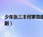 少年張三豐何家勁版電視劇歌曲（少年張三豐何家勁版電視劇）