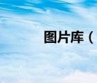 圖片庫（說一說圖片庫的簡介）