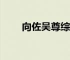 向佐吳尊綜藝節(jié)目（向佐吳尊綜藝）