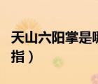 天山六陽掌是哪個門派的（天山六陽掌和一陽指）