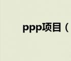 ppp項(xiàng)目（說一說ppp項(xiàng)目的簡介）