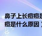 鼻子上長痘痘是什么原因引發(fā)的（鼻子上長痘痘是什么原因）