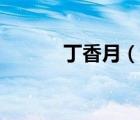 丁香月（說一說丁香月的簡介）