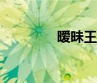 曖昧王菲哪年（曖昧王菲）