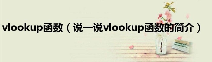 vlookup函數(shù)（說一說vlookup函數(shù)的簡介）