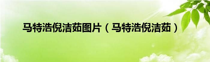 馬特浩倪潔茹圖片（馬特浩倪潔茹）