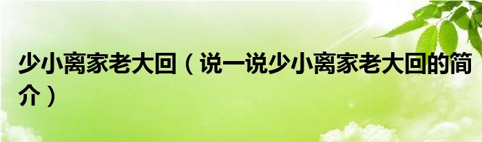 少小離家老大回（說一說少小離家老大回的簡介）