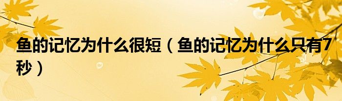 魚(yú)的記憶為什么很短（魚(yú)的記憶為什么只有7秒）