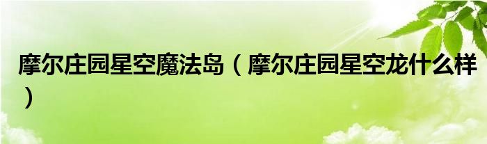 摩爾莊園星空魔法島（摩爾莊園星空龍什么樣）