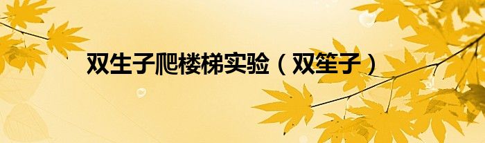 雙生子爬樓梯實(shí)驗(yàn)（雙笙子）