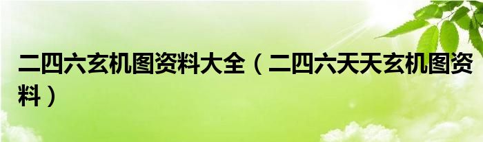 二四六玄機(jī)圖資料大全（二四六天天玄機(jī)圖資料）