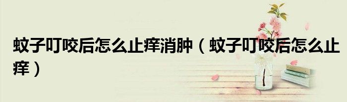 蚊子叮咬后怎么止癢消腫（蚊子叮咬后怎么止癢）