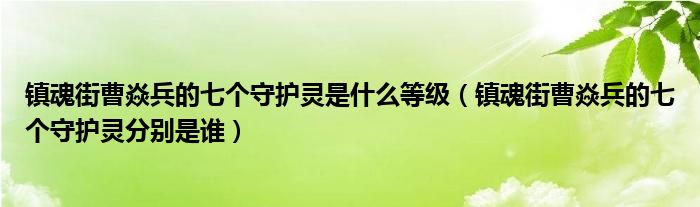 鎮(zhèn)魂街曹焱兵的七個(gè)守護(hù)靈是什么等級(jí)（鎮(zhèn)魂街曹焱兵的七個(gè)守護(hù)靈分別是誰(shuí)）