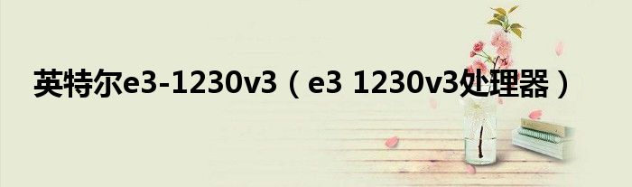 英特爾e3-1230v3（e3 1230v3處理器）