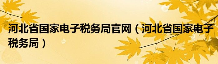 河北省國家電子稅務局官網(wǎng)（河北省國家電子稅務局）