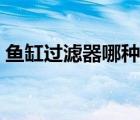 魚缸過濾器哪種好視頻（魚缸過濾器哪種好）