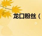 龍口粉絲（說一說龍口粉絲的簡介）