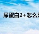 尿蛋白2+怎么降下來（尿蛋白怎么降下來）