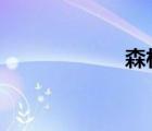 森林里的暴風雨pp
