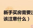新手買房需要注意哪些細(xì)節(jié)問題（新手買房應(yīng)該注意什么）