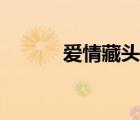 愛情藏頭詩精選（愛情藏頭詩）