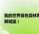我的世界暮色森林荊棘城堡怎么進(jìn)去（我的世界暮色森林荊棘城堡）