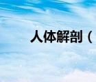人體解剖（說一說人體解剖的簡介）