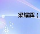 梁耀輝（說一說梁耀輝的簡(jiǎn)介）