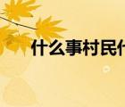 什么事村民代表（怎樣產(chǎn)生村民代表）