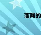 藩籬的意思（藩籬的讀音）