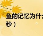 魚(yú)的記憶為什么很短（魚(yú)的記憶為什么只有7秒）