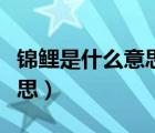 錦鯉是什么意思網(wǎng)絡(luò)流行語(yǔ)言（錦鯉是什么意思）