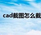 cad截圖怎么截取部分圖（cad截圖怎么截）