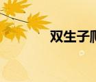 雙生子爬樓梯實驗（雙笙子）
