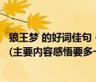 狼王夢 的好詞佳句（請求狼王夢的好詞好句主要內容和感悟(主要內容感悟要多一些)_360）