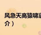 風急天高猿嘯哀（說一說風急天高猿嘯哀的簡介）