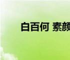 白百何 素顏（白百何素顏判若兩人）