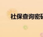 社保查詢密碼是什么（社保查詢密碼）